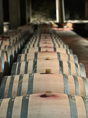 Barolo Grill — photo 4