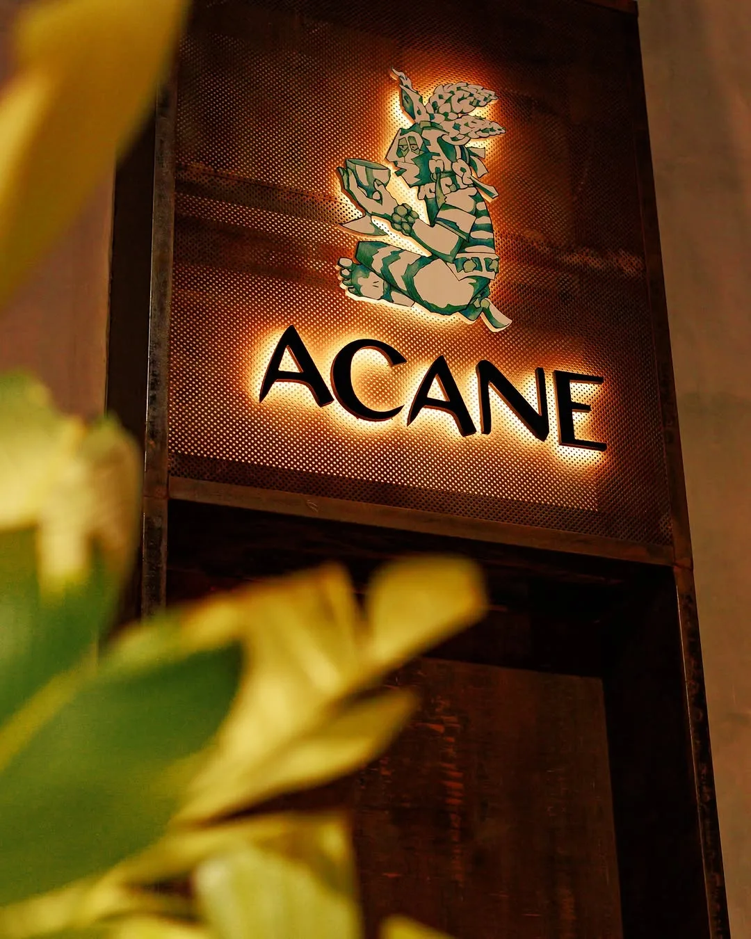 Acane — photo 9