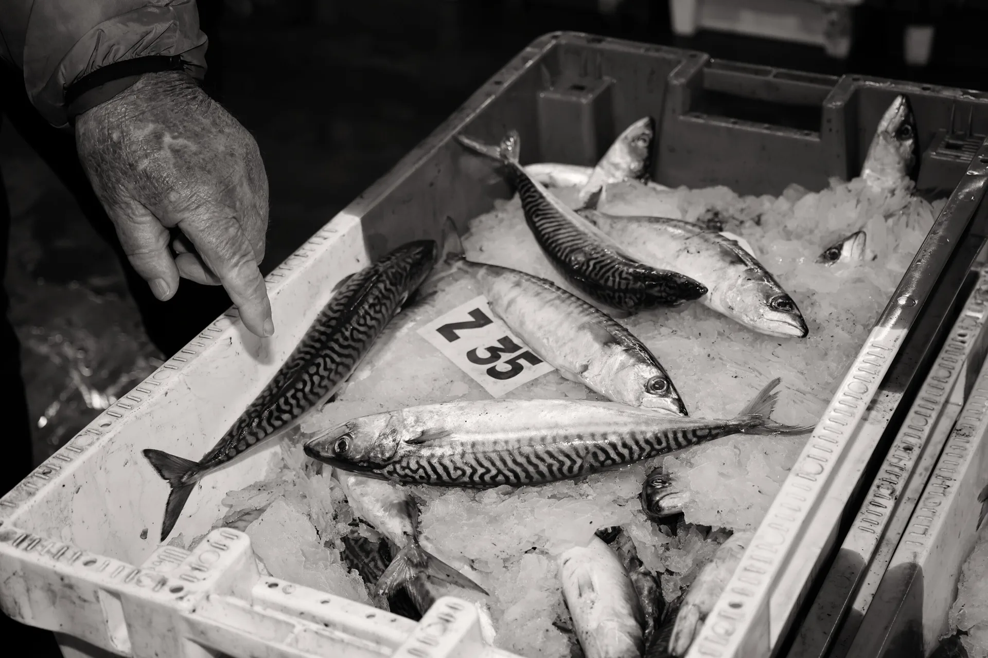 Julia Fish & Oysterbar — photo 21
