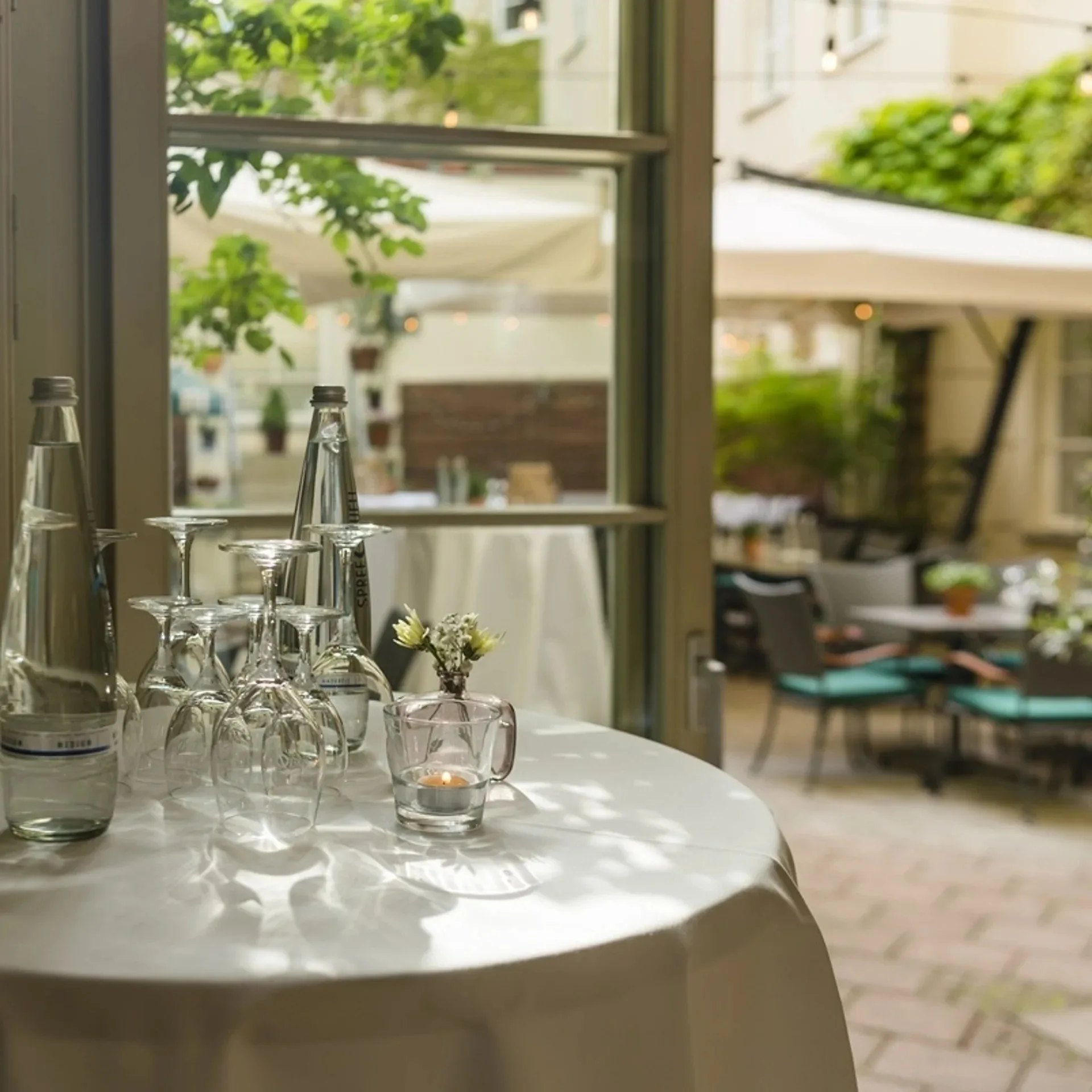 Restaurant ALvis — photo 39
