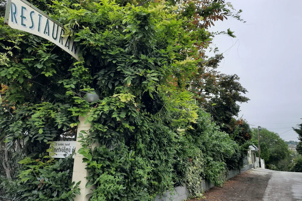 Jardinette Kertvendéglő — photo 93