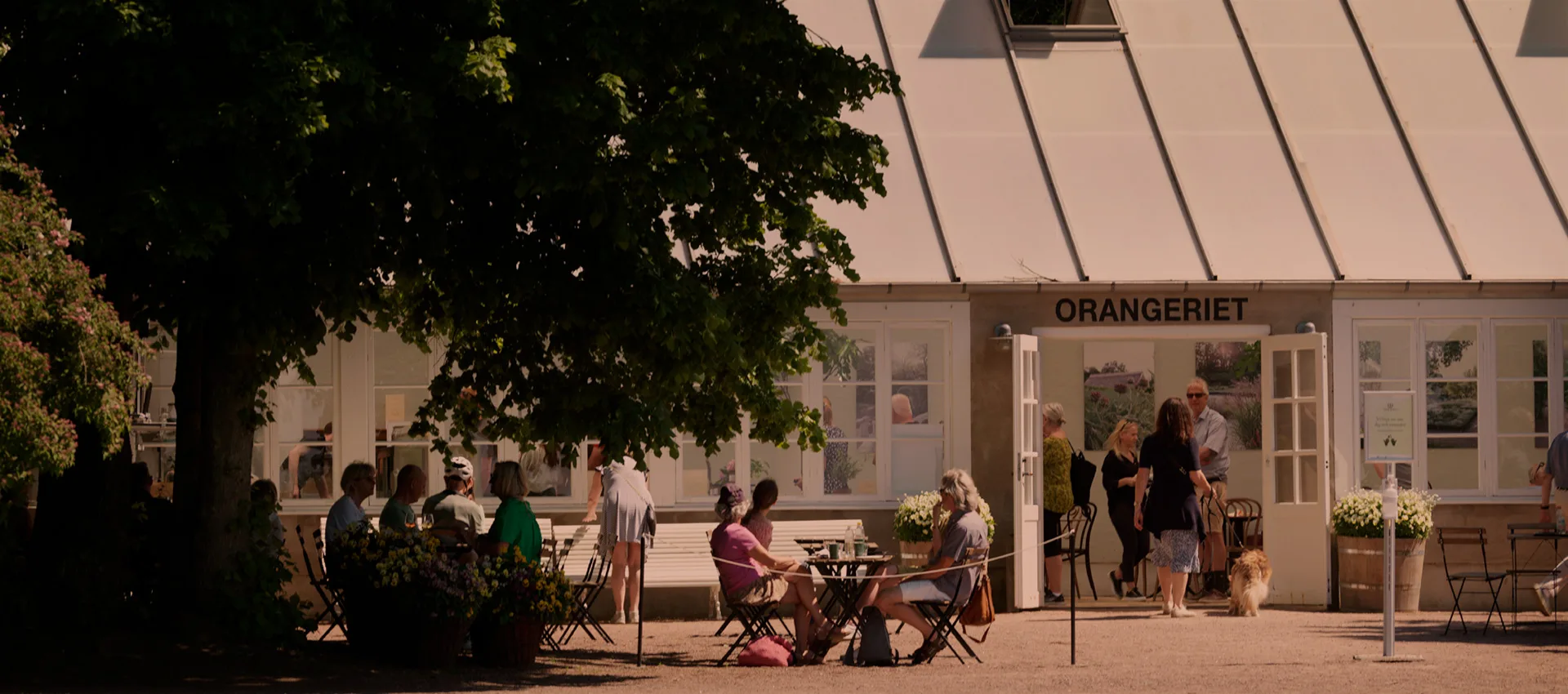 Sofiero Slottsrestaurang — photo 15