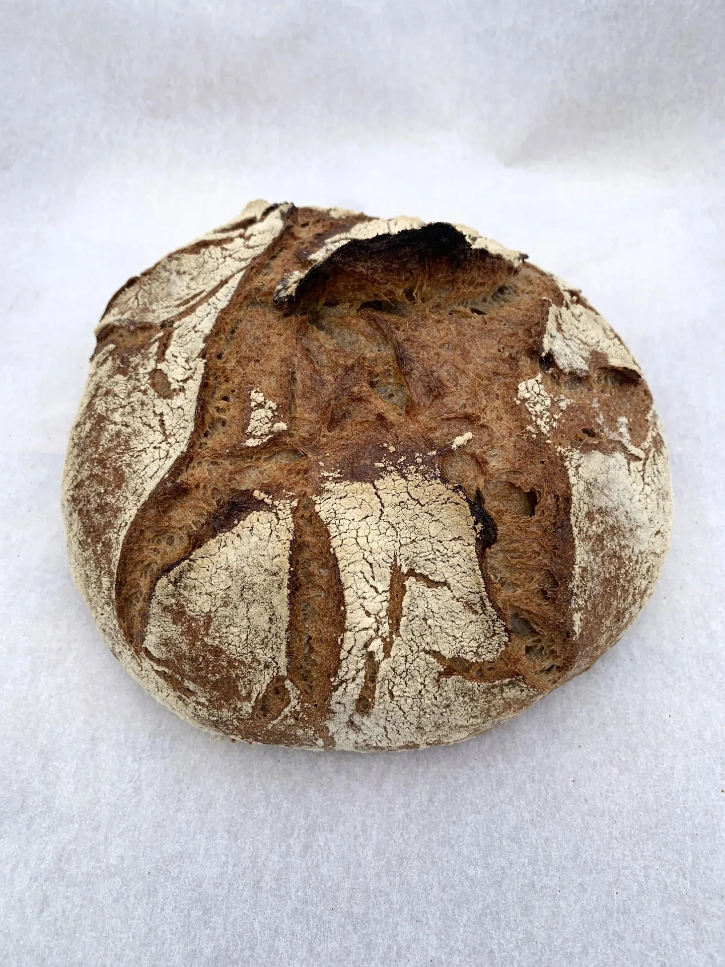 Rye Bakery — photo 36