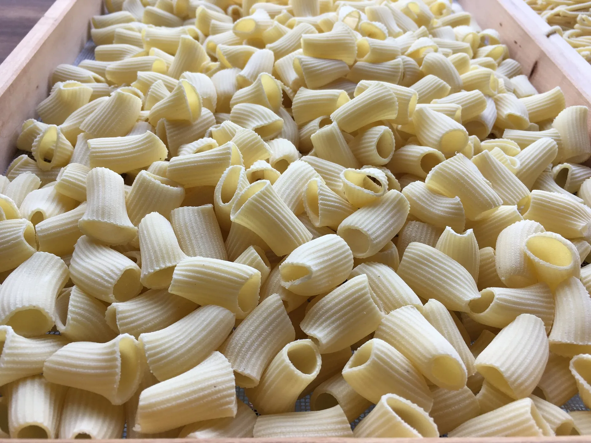 Mastro — photo 20
