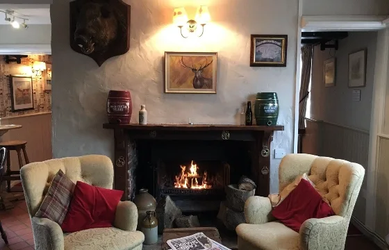 The Loddon Swan — photo 15