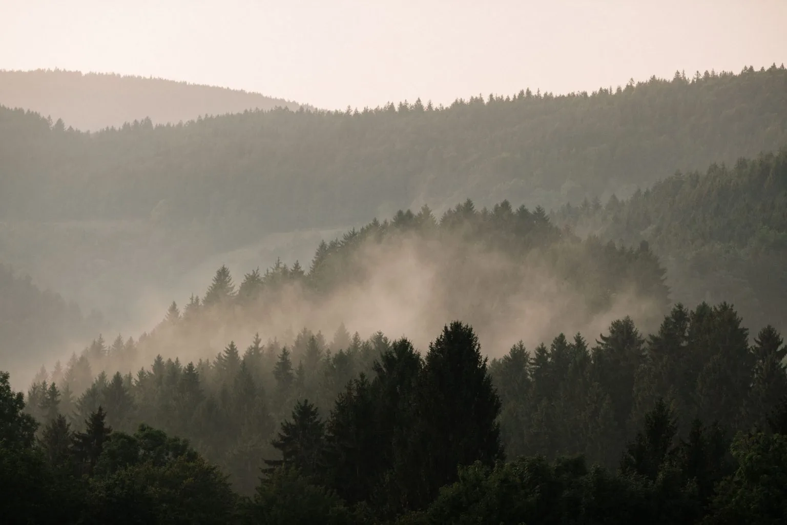 Turistična & ekološka kmetija Pri Baronu — photo 10