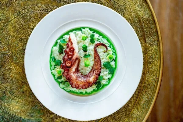Chef’s Table by Ernest Jagodziński — photo 47