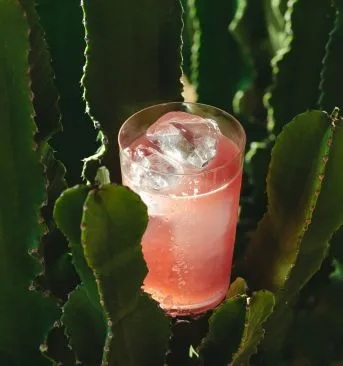 Belvedere — drink