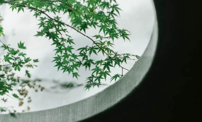 Lurra, Kyoto