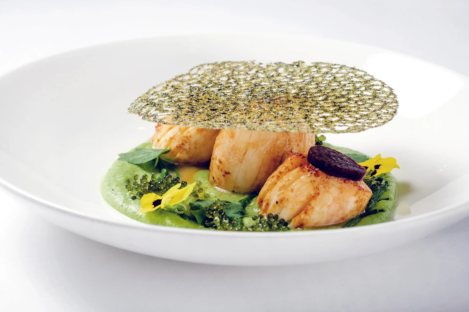 Kanishka by Atul Kochhar — photo 33