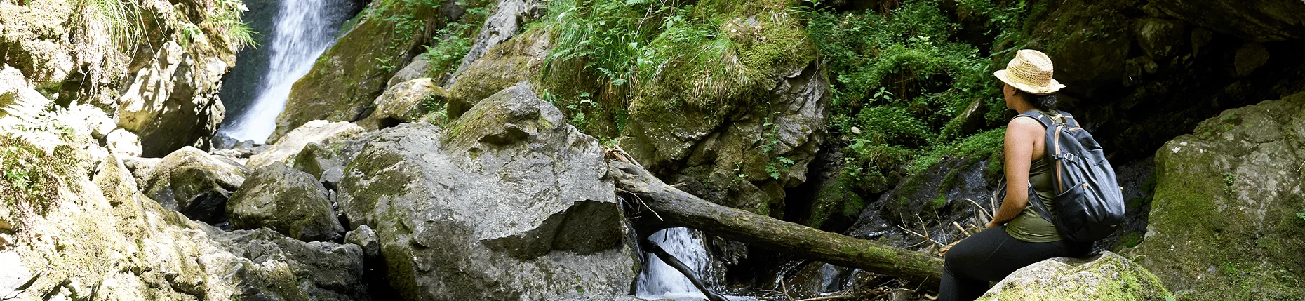 Waldshuter Hof — photo 10