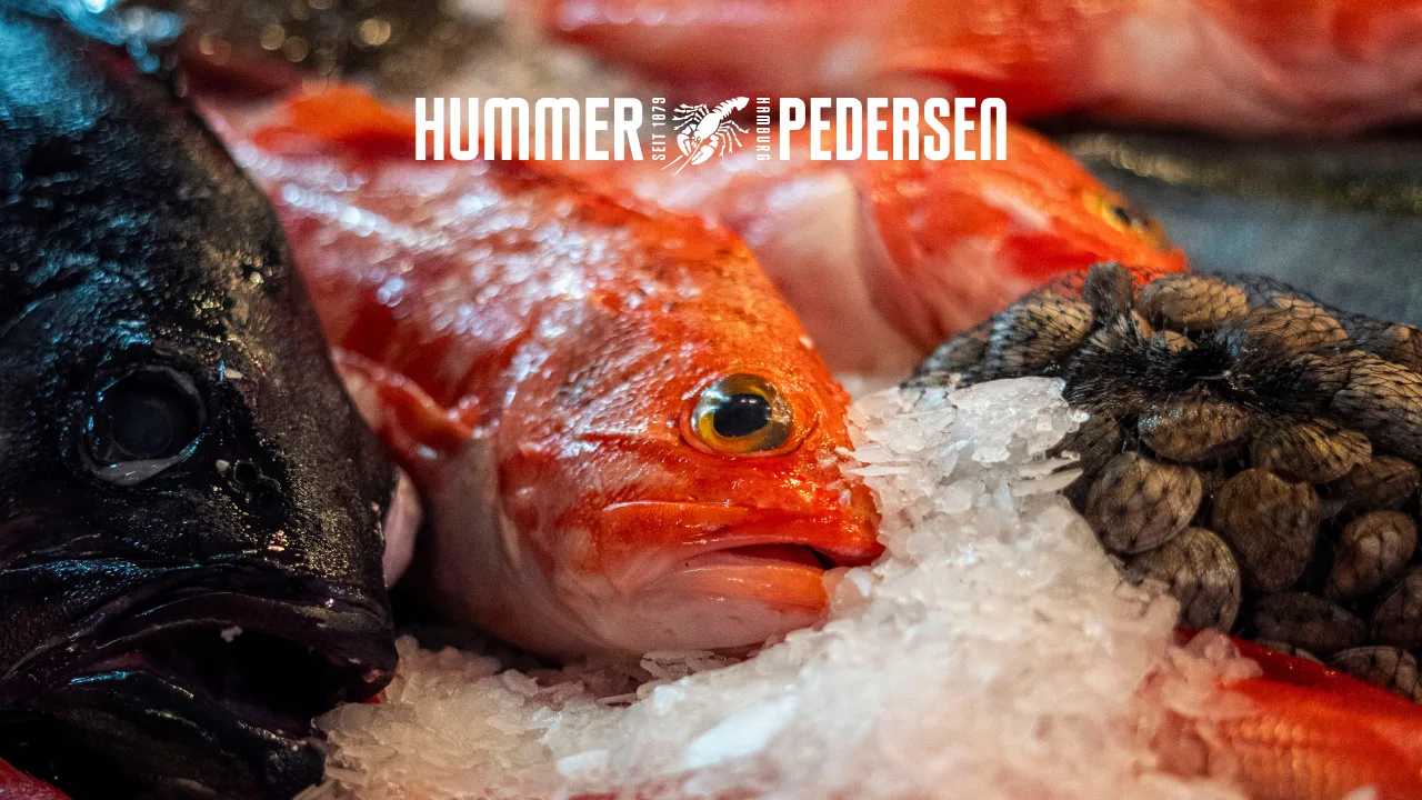 Hummer Pedersen — photo 41