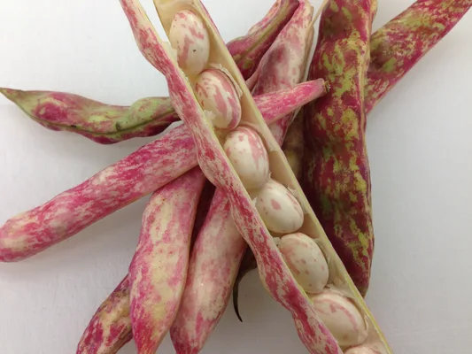 N-3 trois — photo 71