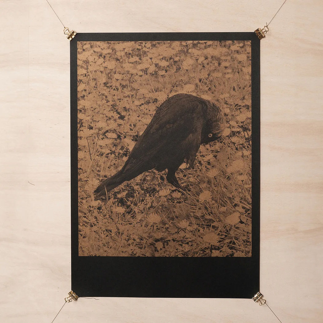 Studio Cluster — photo 19