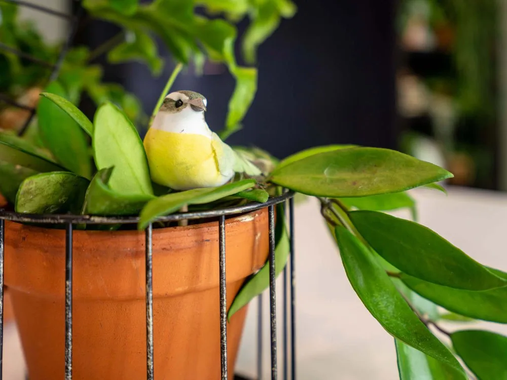 Oriole Garden Bistro — photo 16