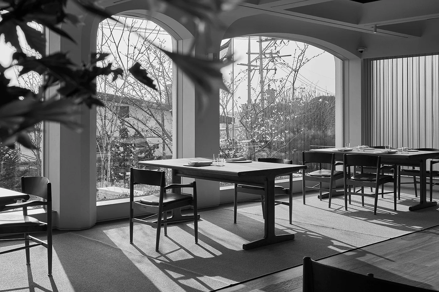 Mosu — photo 8