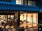 Tama — photo 22