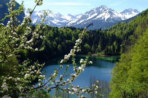 Gasthaus Seeblick — photo 4