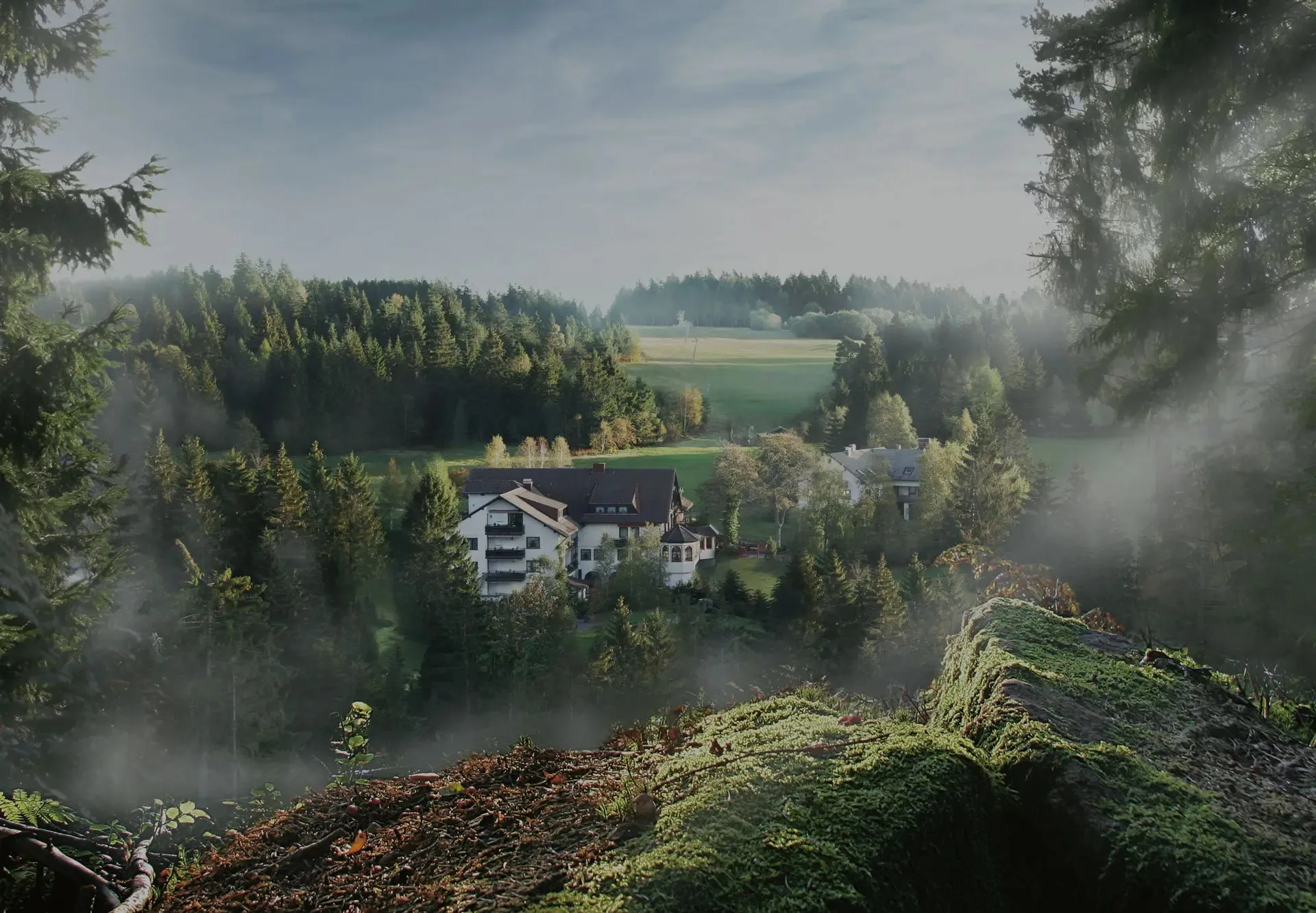Waldblick-Hotel Kniebis — photo 45