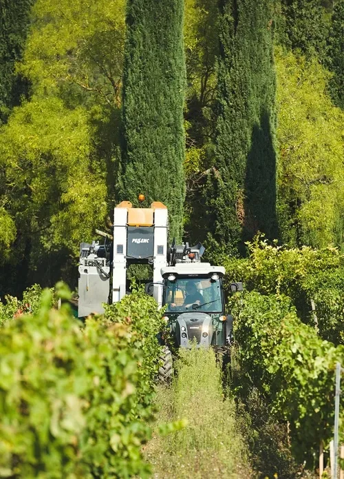 La Bastide de Marie — photo 21