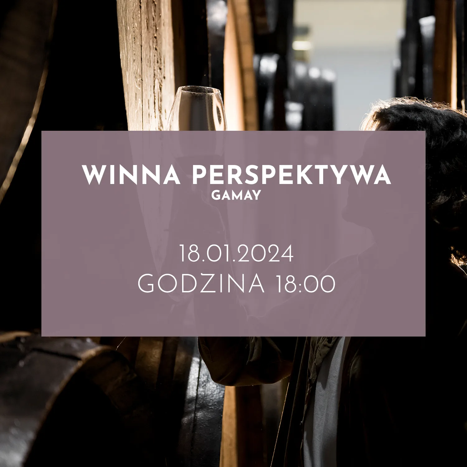 Śląska Prohibicja — photo 77