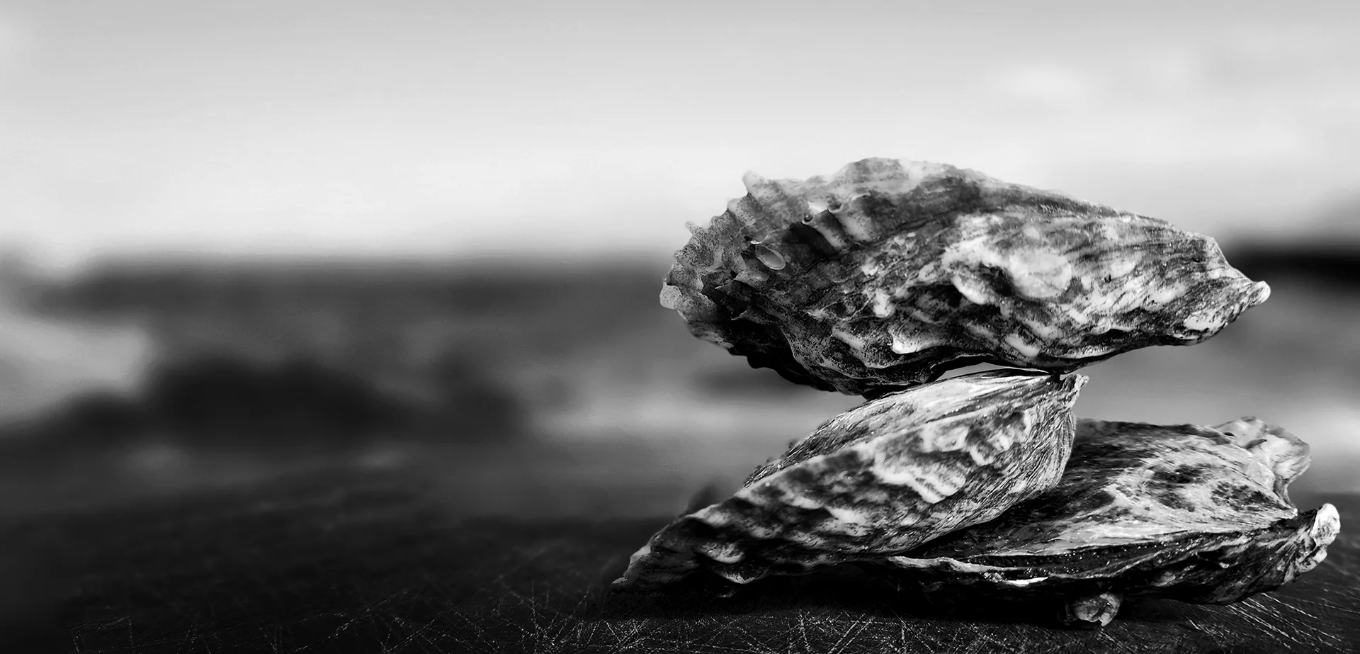 Matunuck Oyster Bar — photo 93