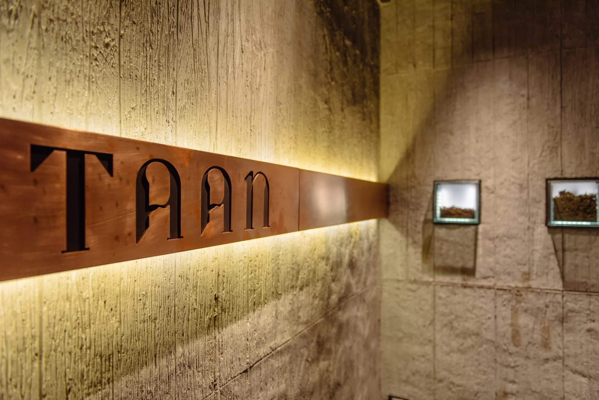 TAAN — photo 56