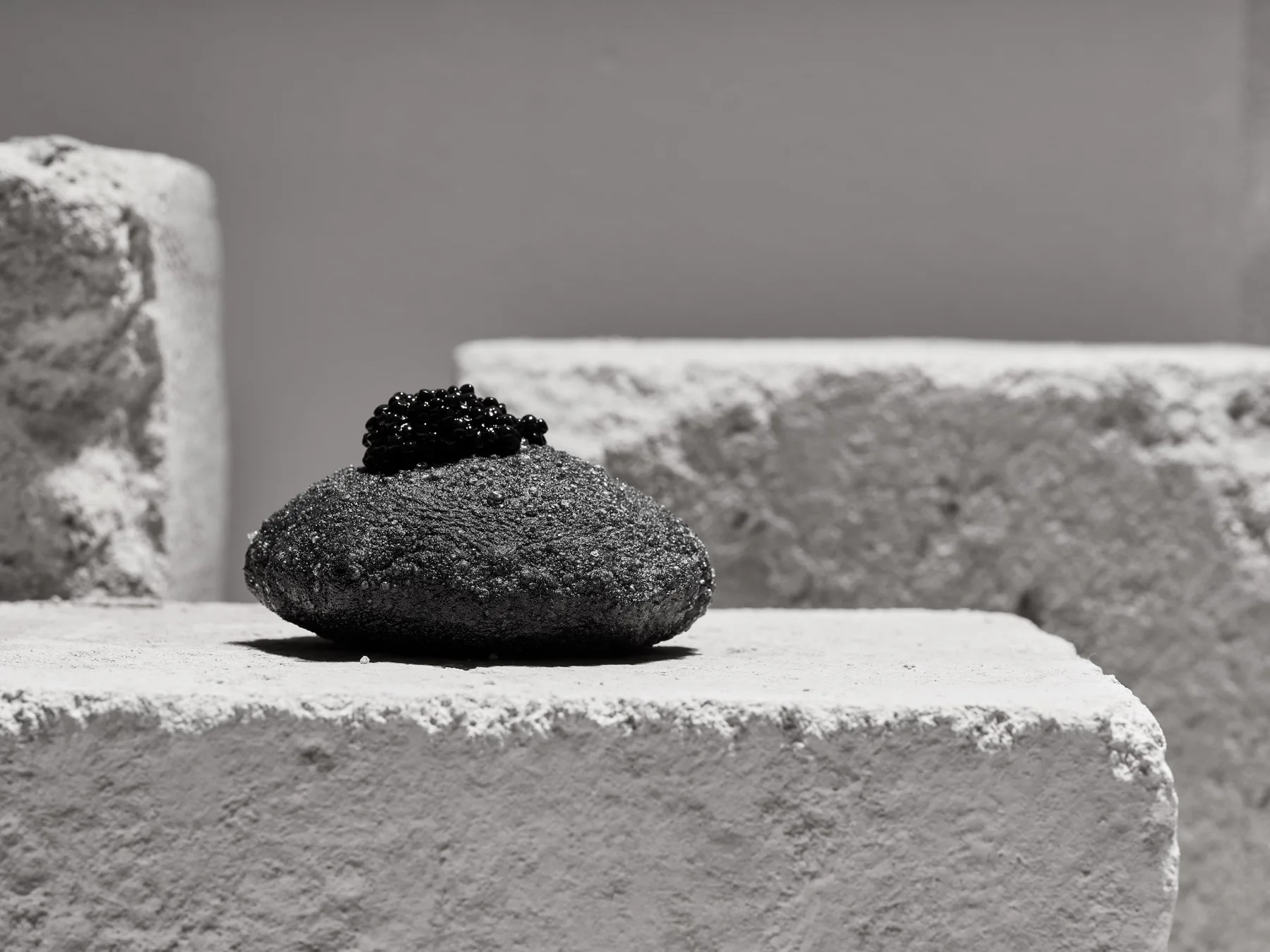 Vitantonio Lombardo — photo 8