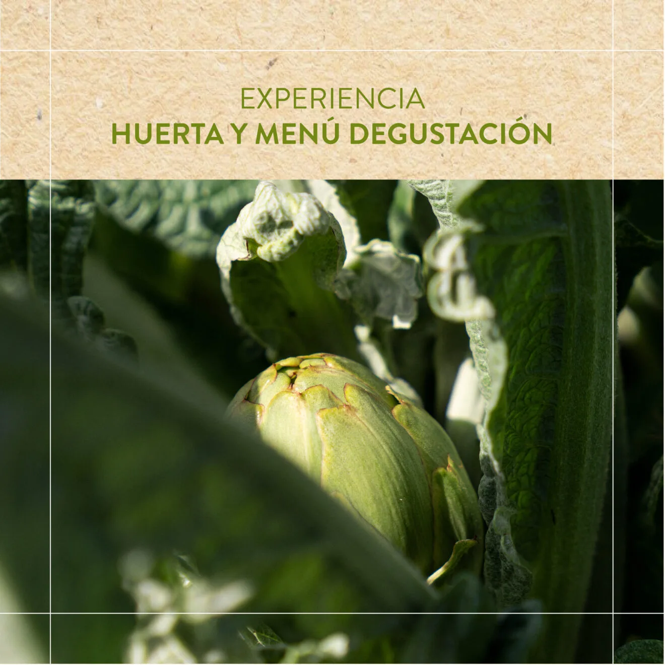 Remigio — photo 10