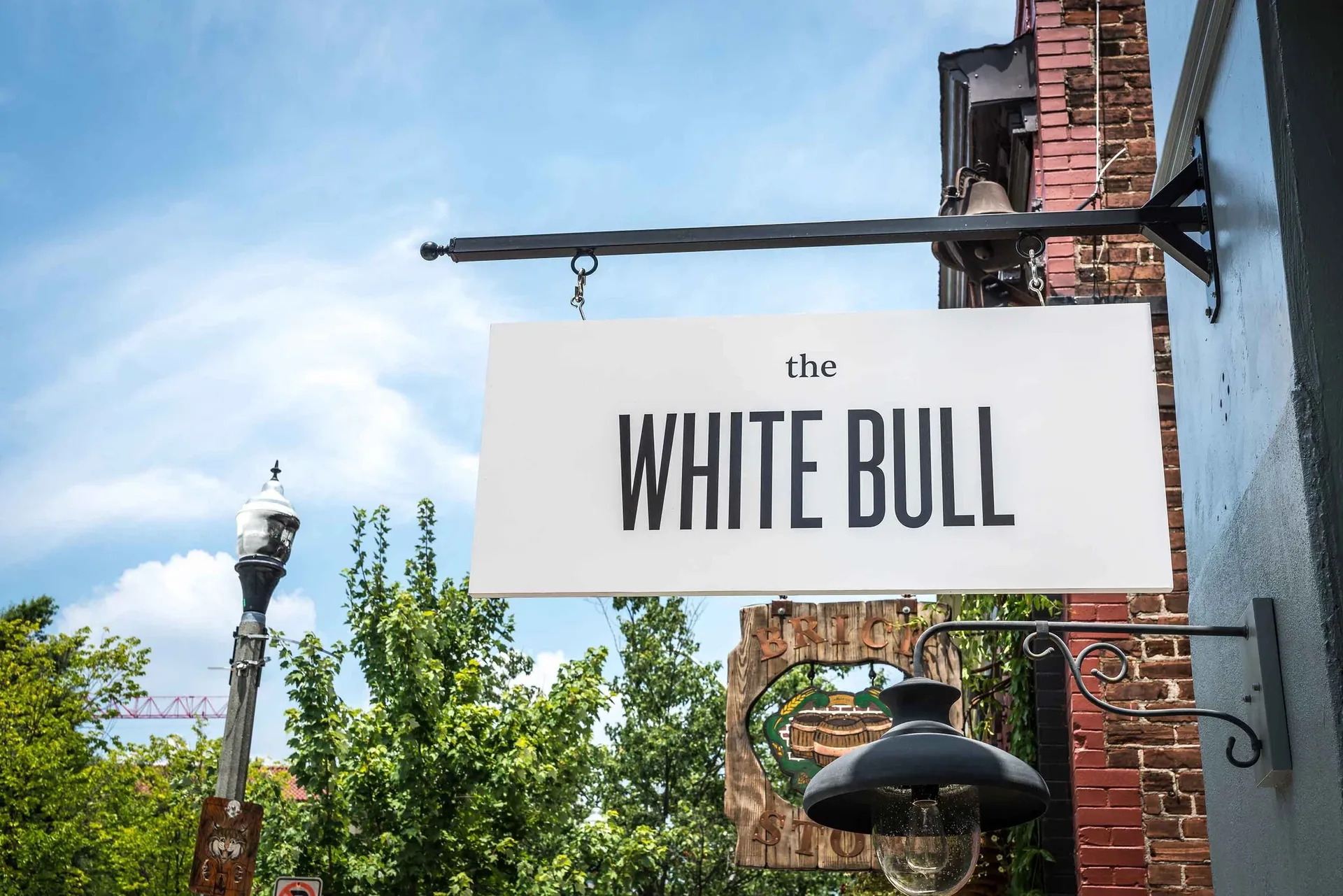 The White Bull — photo 12