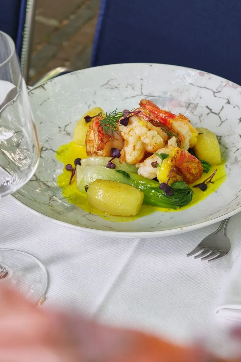 Bibulus — food
