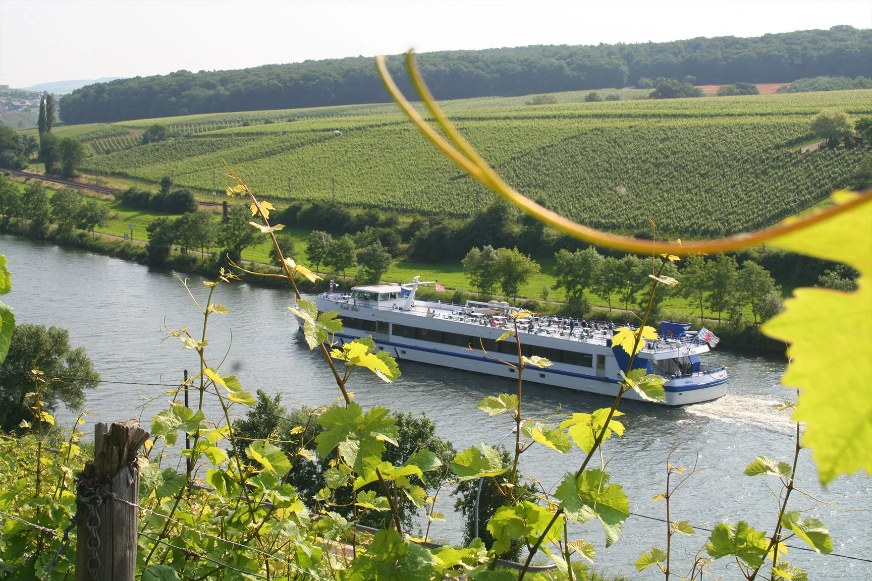 Domaine la Forêt — photo 38