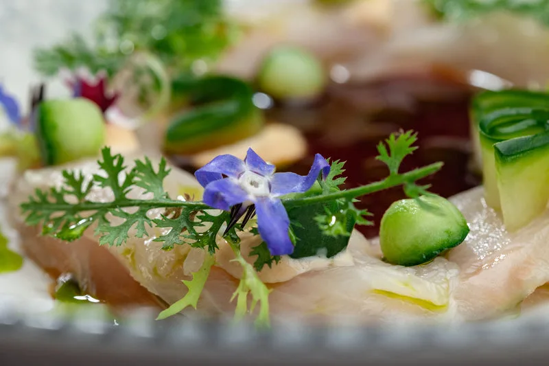 5 SEN:SES by Mario Aliberti — food