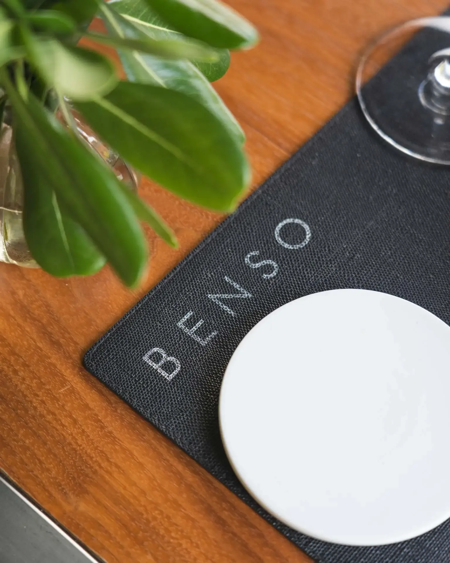 Benso — photo 23