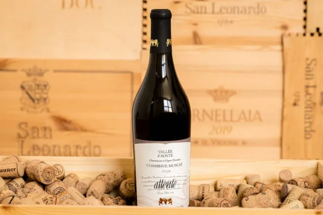 Cavalluccio Marino — photo 7