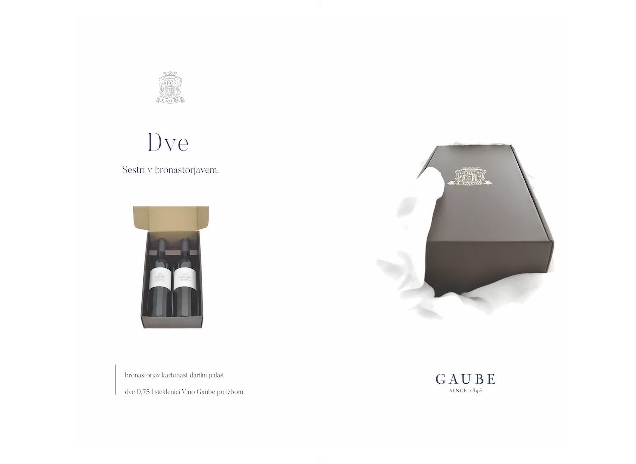 Domačija Vino Gaube — photo 14
