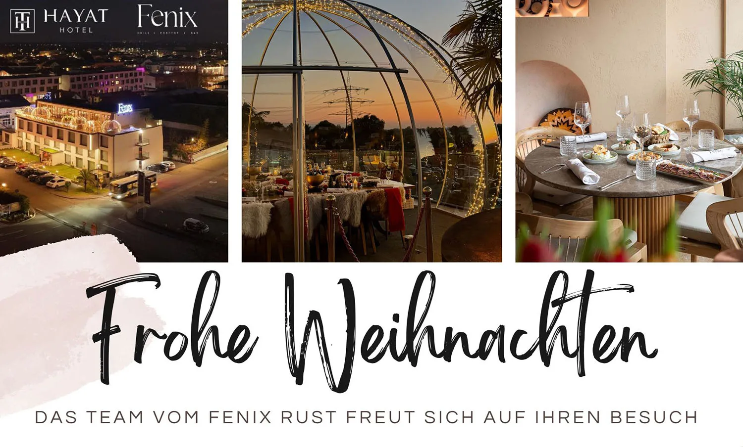 Restaurant Fenix — photo 15