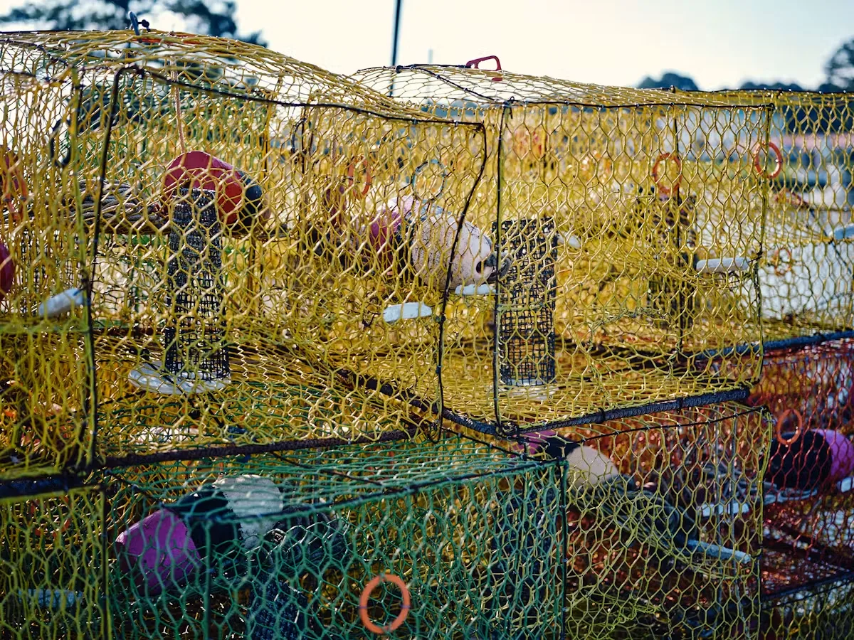 Good Hot Fish — photo 5