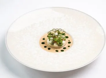 de Silveren Spiegel — photo 10