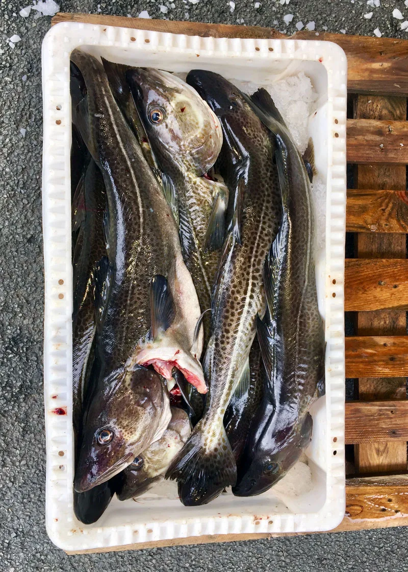 Kødbyens Fiskebar — photo 55