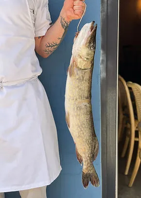 XO Seafoodbar — photo 16
