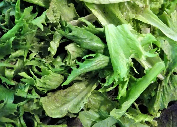 Les Jardins de la Matz — food