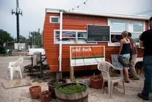 Odd Duck — drink