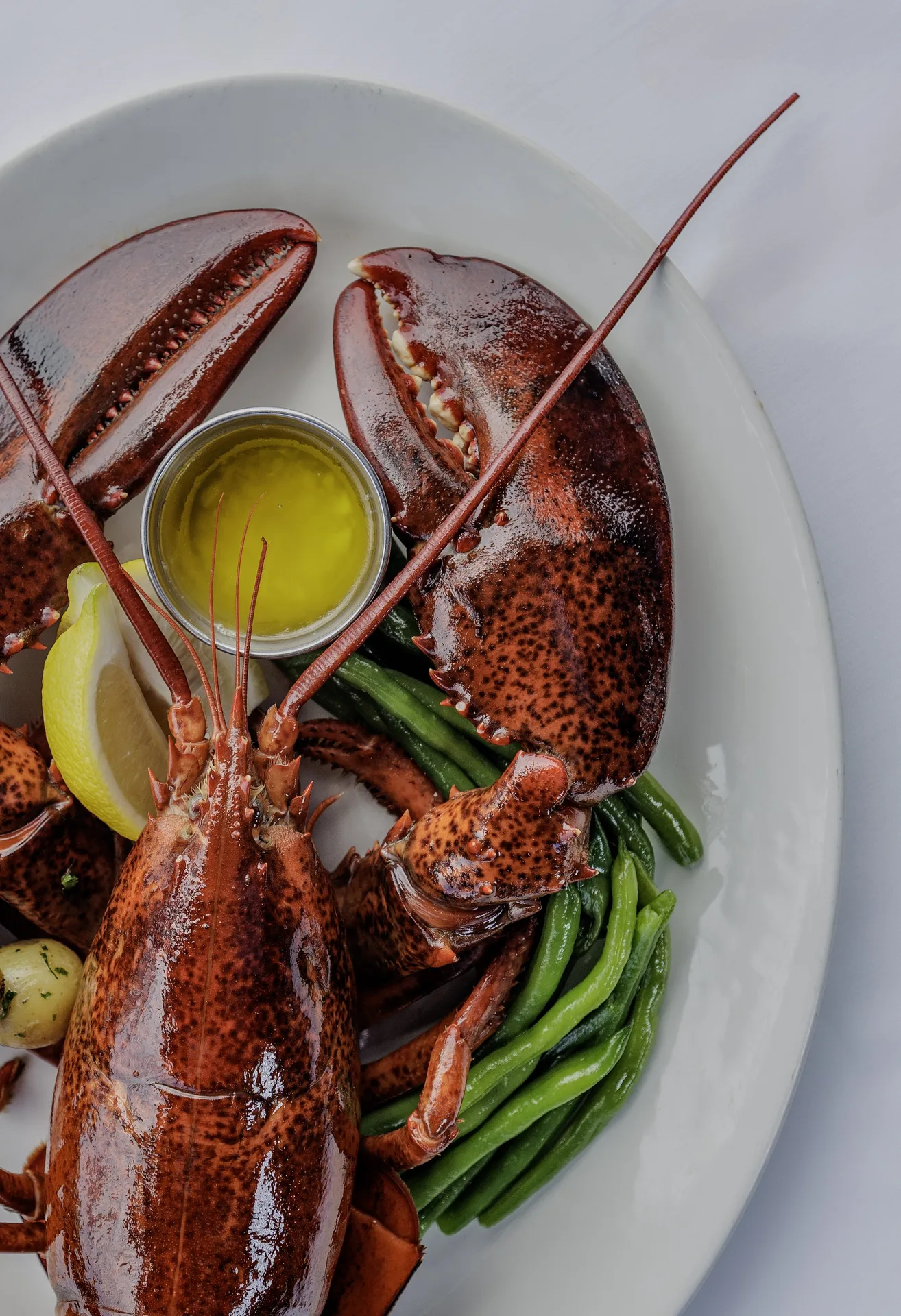 The Lobster — photo 14