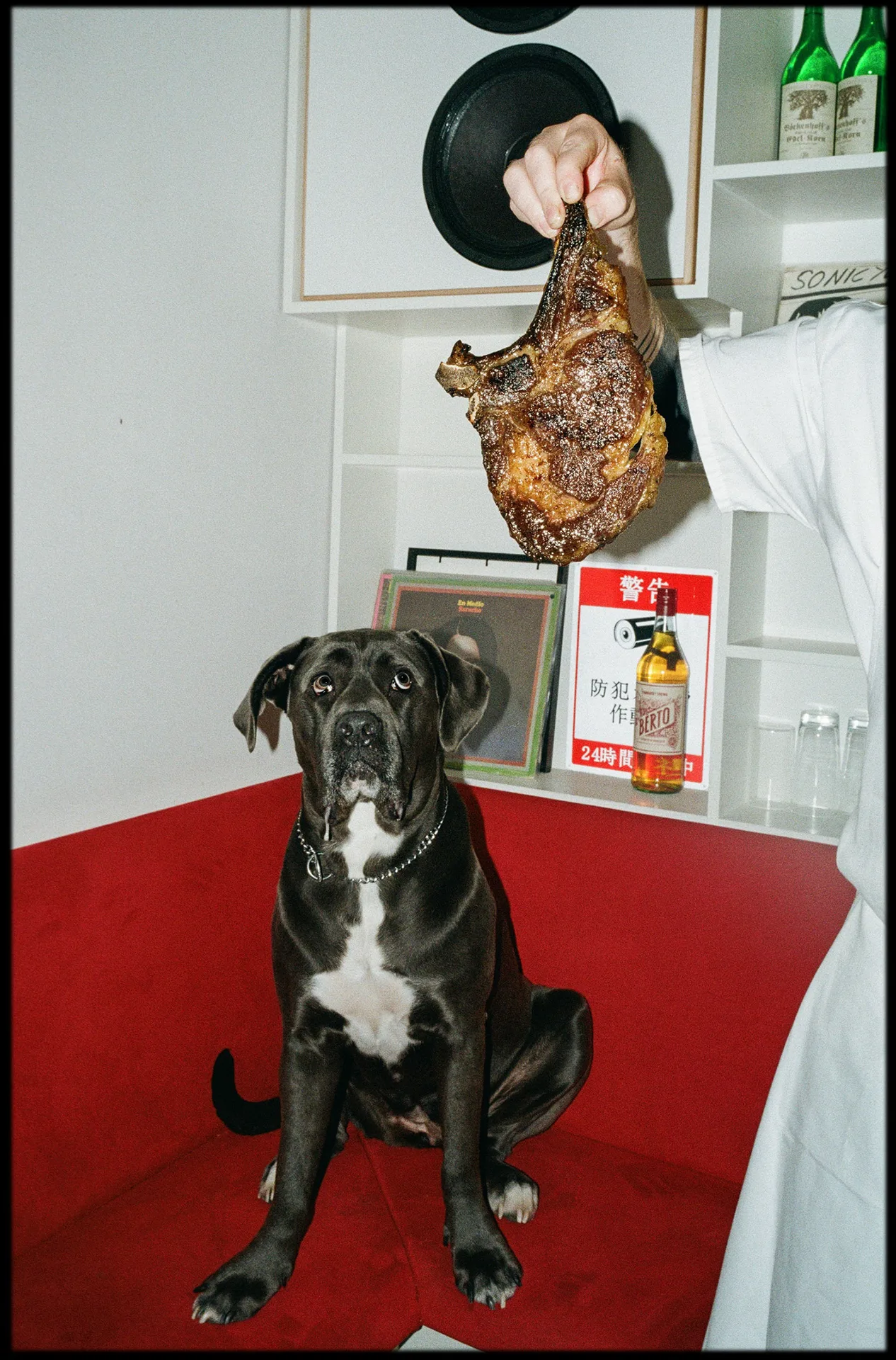 Café Frieda — photo 34