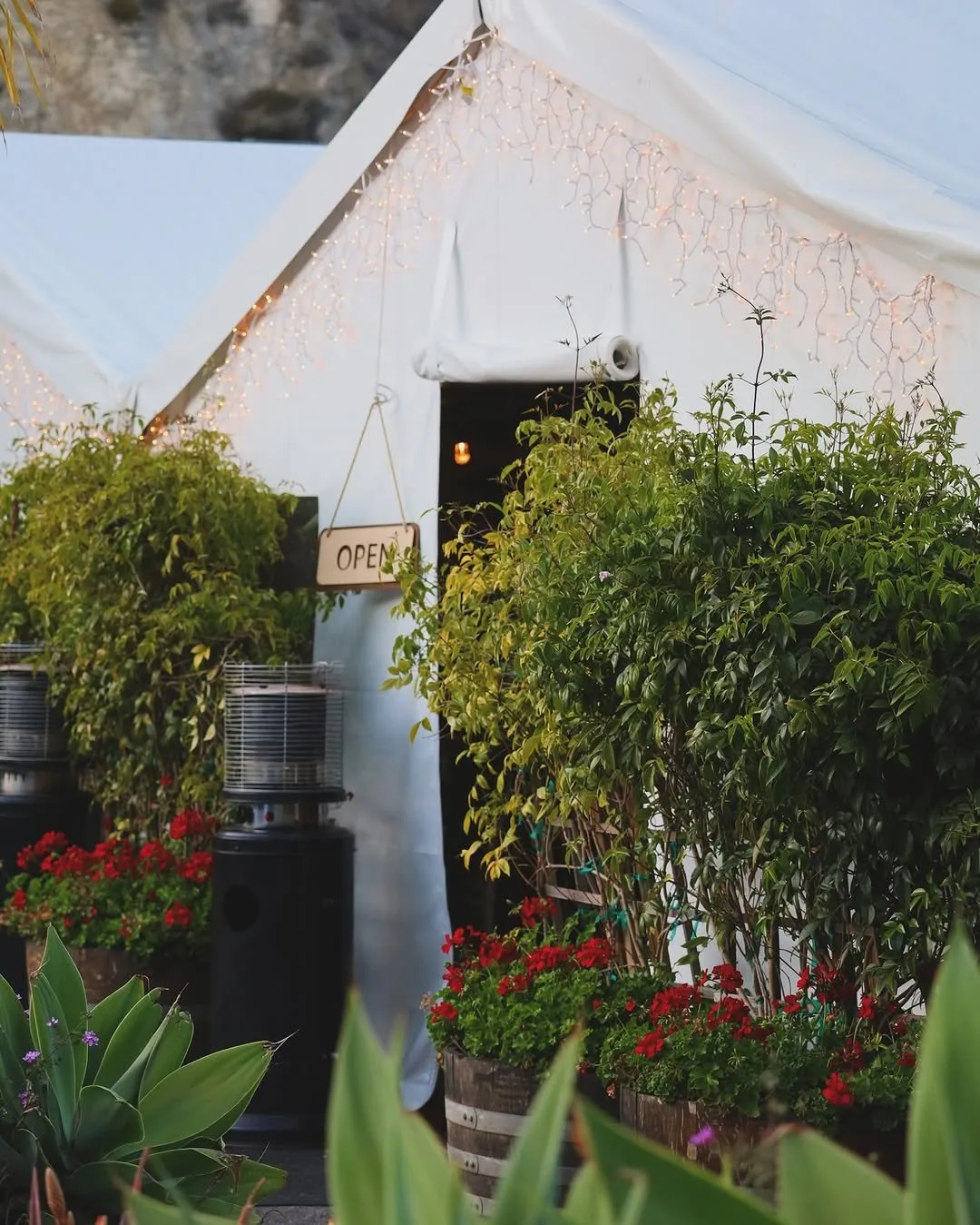 Oliver's Osteria — photo 7