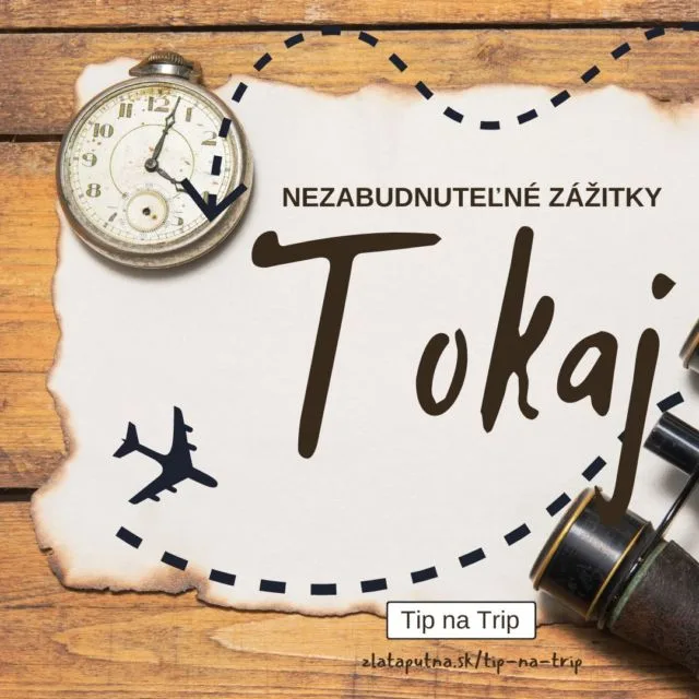 Reštaurácia Zlatá Putňa — photo 19