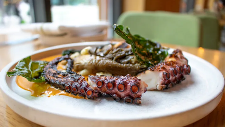 Camp Modern American Eatery — photo 13
