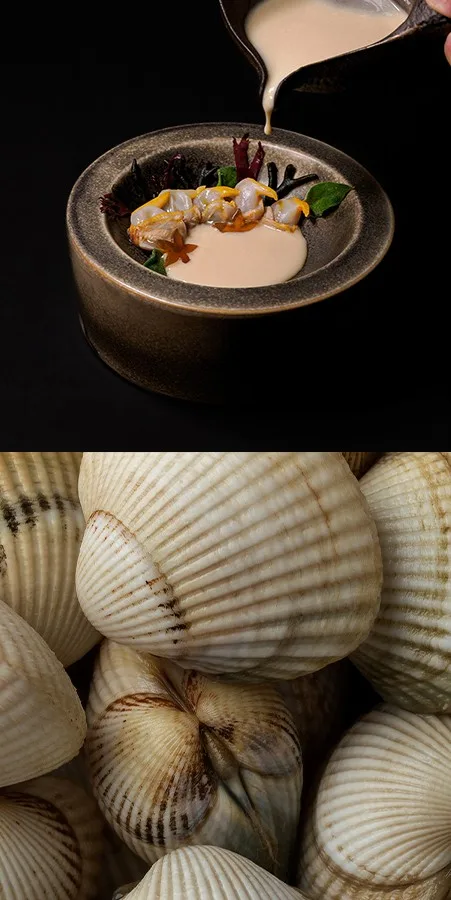 Eclectic — food
