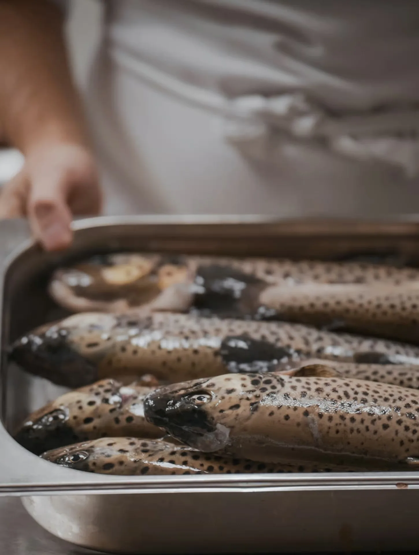 Vila Muhr Gourmet — photo 25